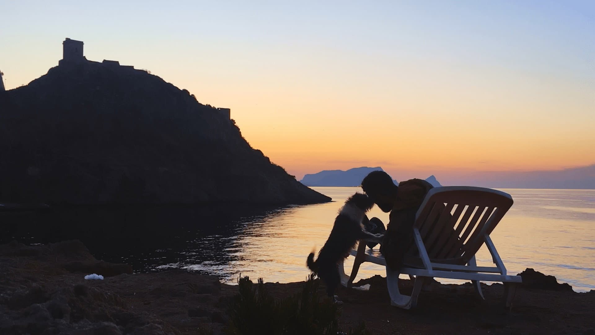 Straordinari Amici Dell'uomo - immagine