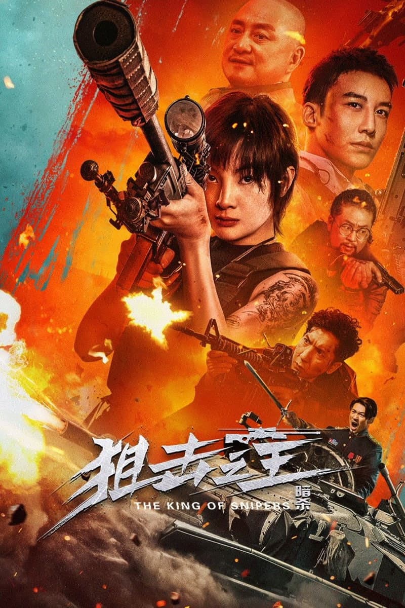 Poster di 狙击之王:暗杀
