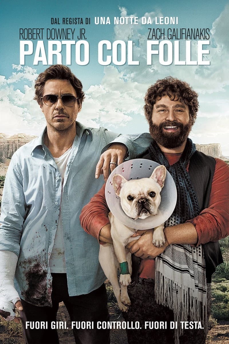 Poster di Parto col folle