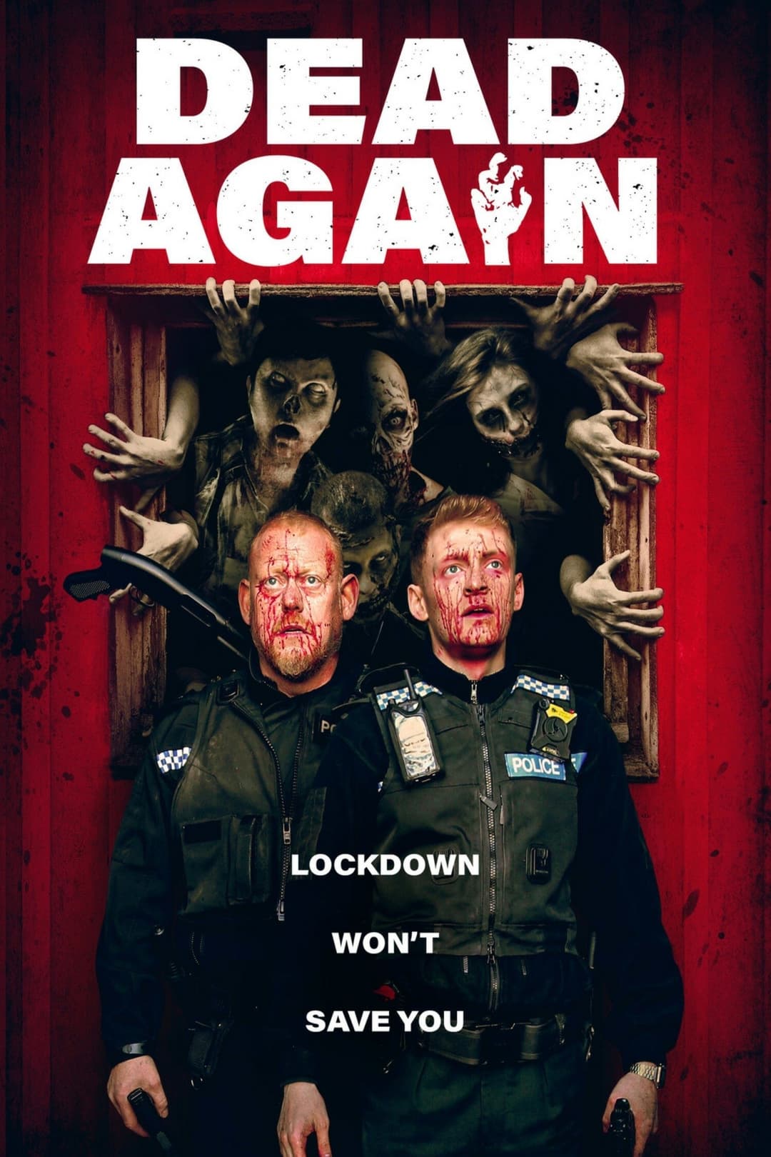 Poster di Dead Again