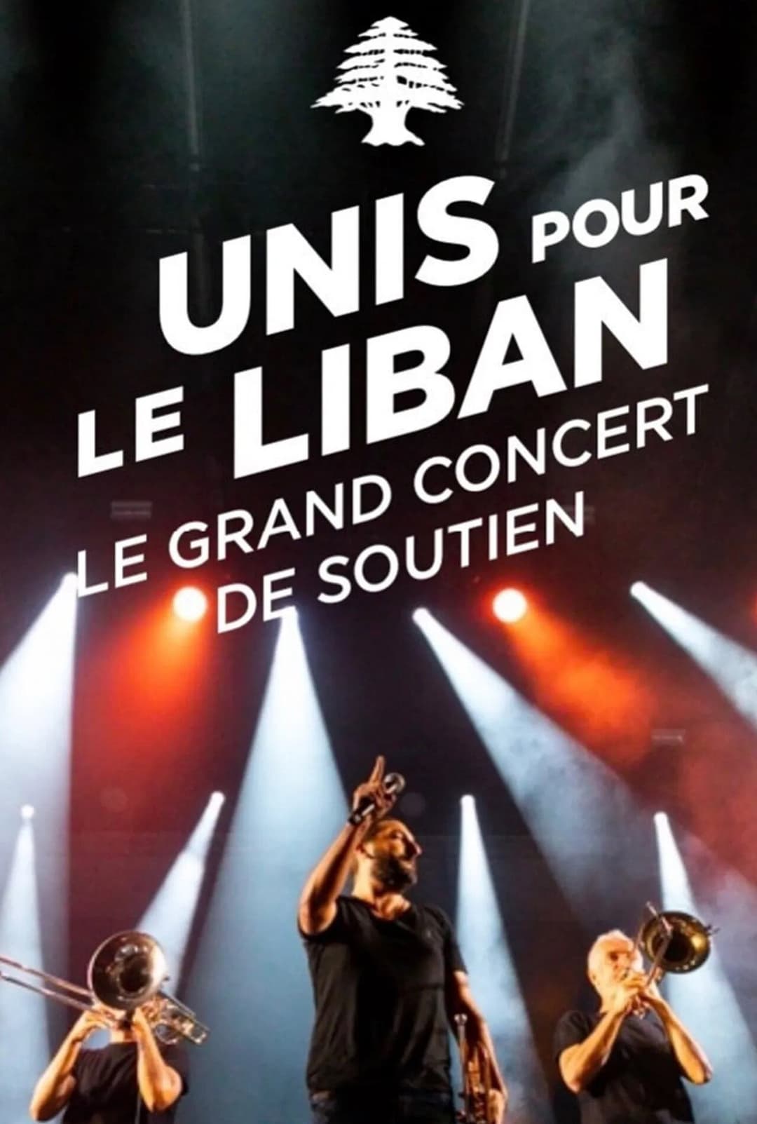 Poster di Le Grand Concert Unis pour le Liban