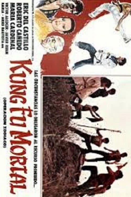 Poster di Kung fu mortal: Operación zodiaco