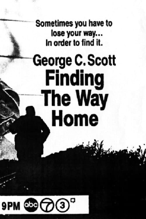 Poster di Finding the Way Home