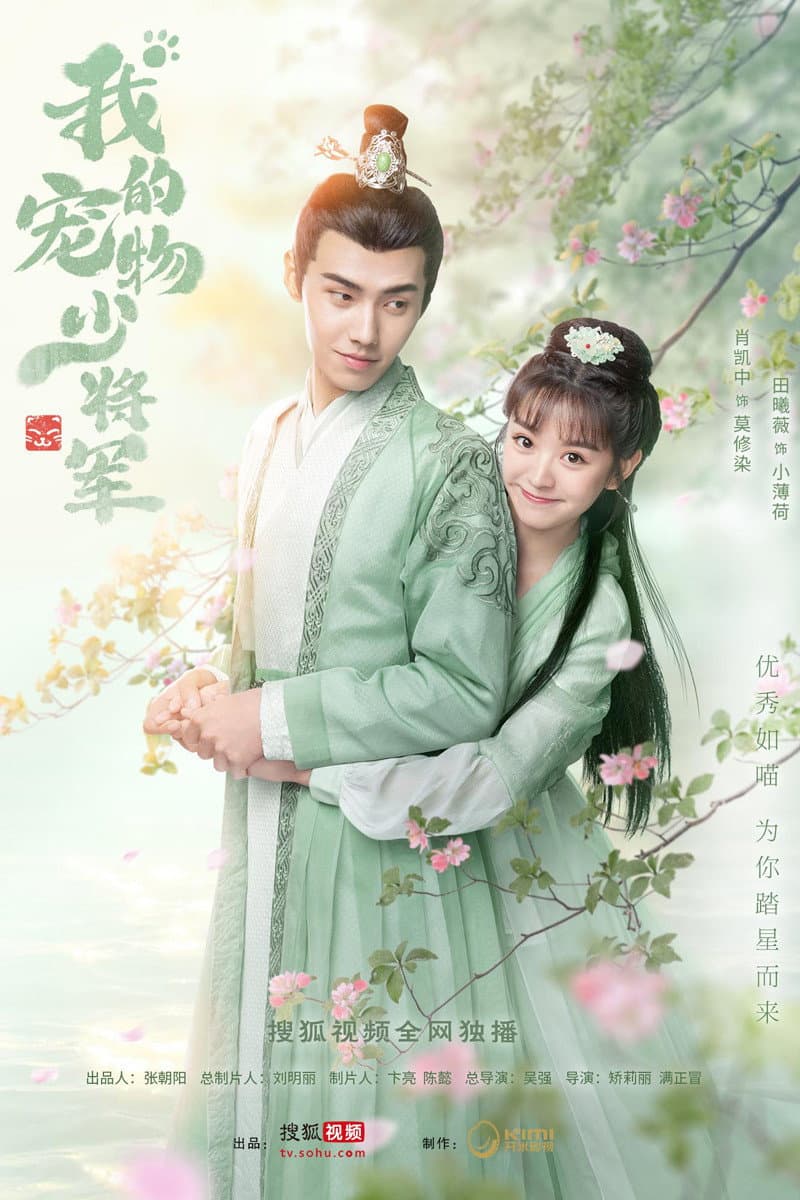 Poster di 我的宠物少将军
