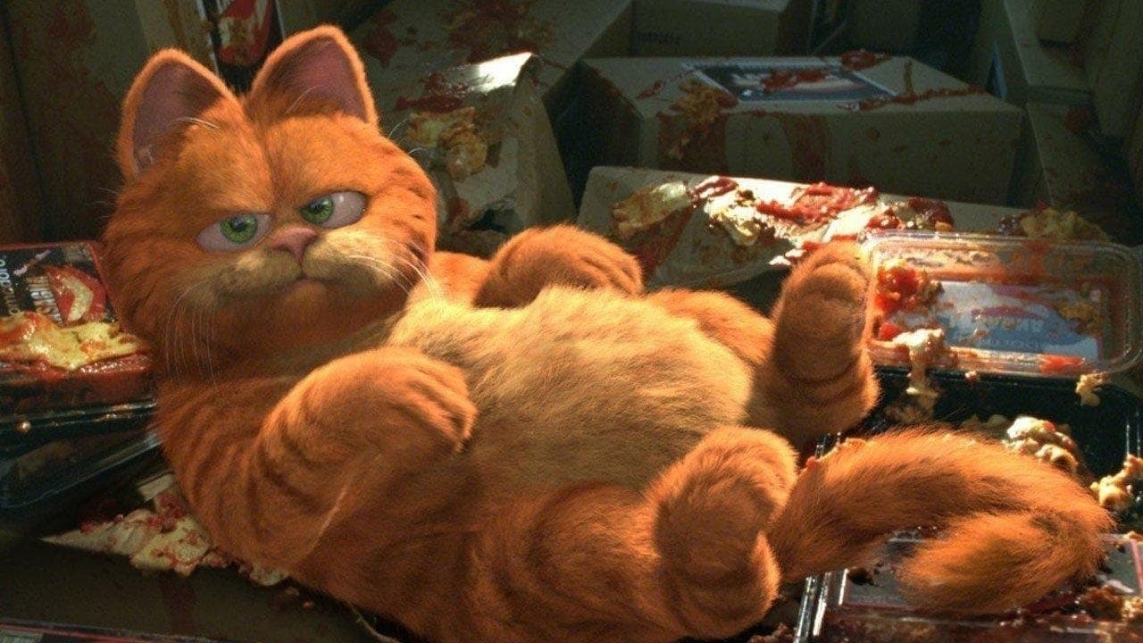 Garfield - Il film - immagine