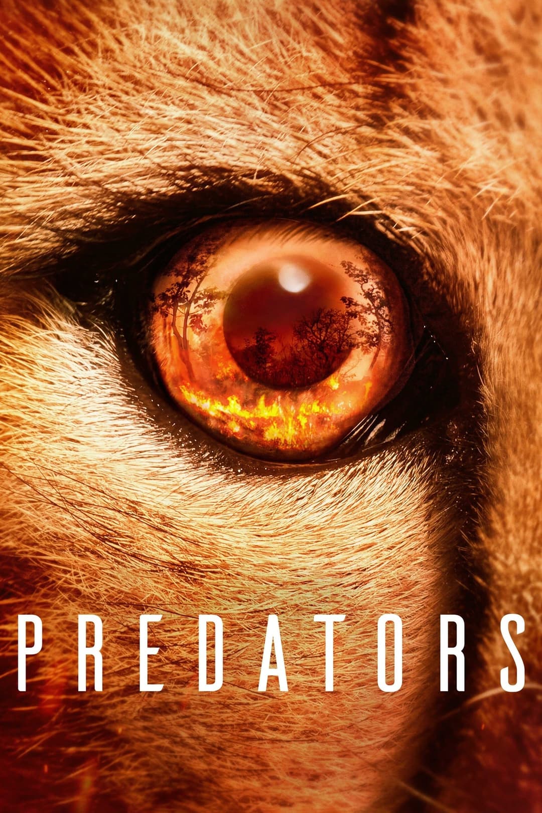 Poster di Predators
