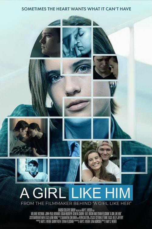 Poster di A Girl Like Him