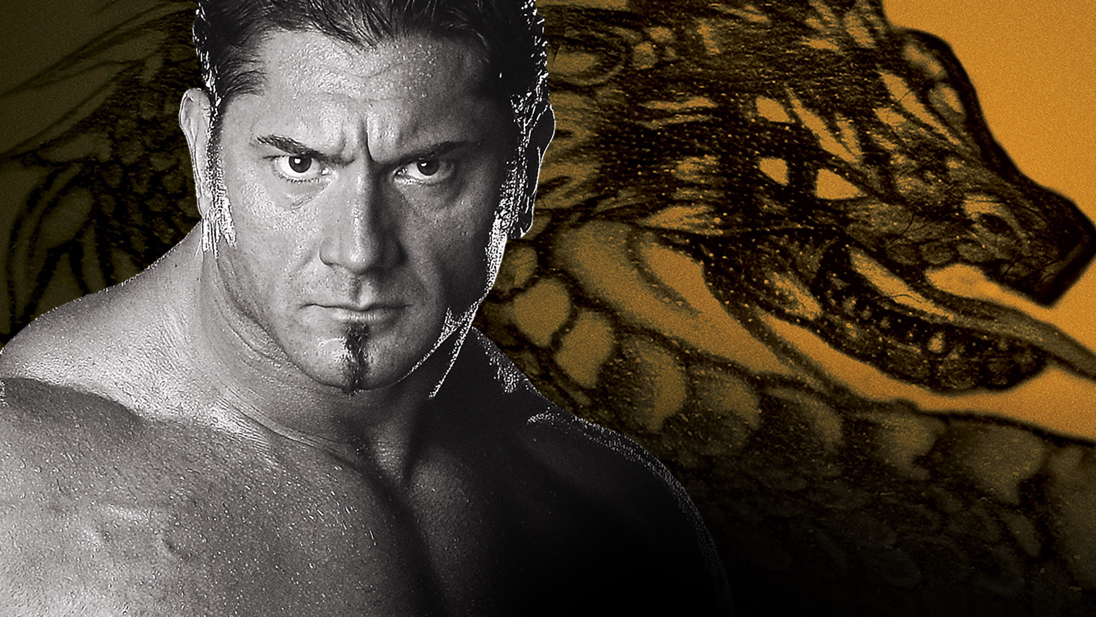 WWE New Year's Revolution 2005 - immagine