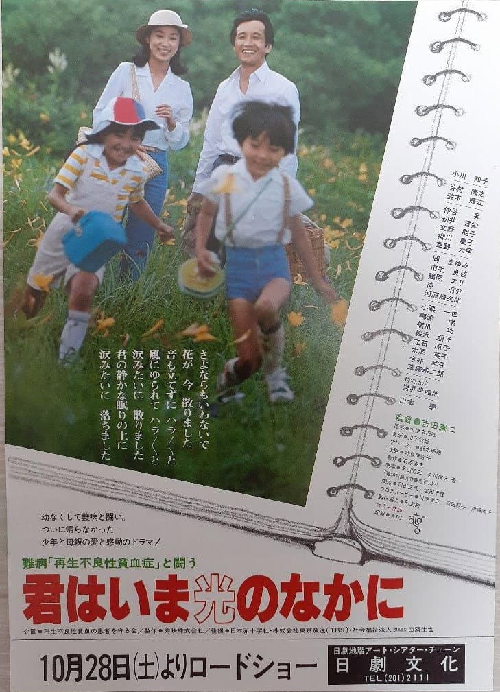 Poster di 難病「再生不良貧血性」と闘う　君はいま光のなかに