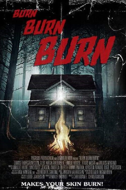 Poster di Burn Burn Burn