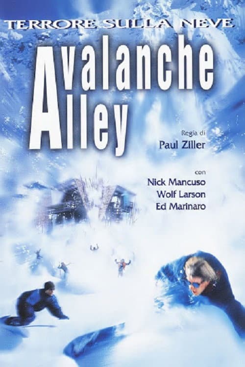 Poster di Avalanche Alley