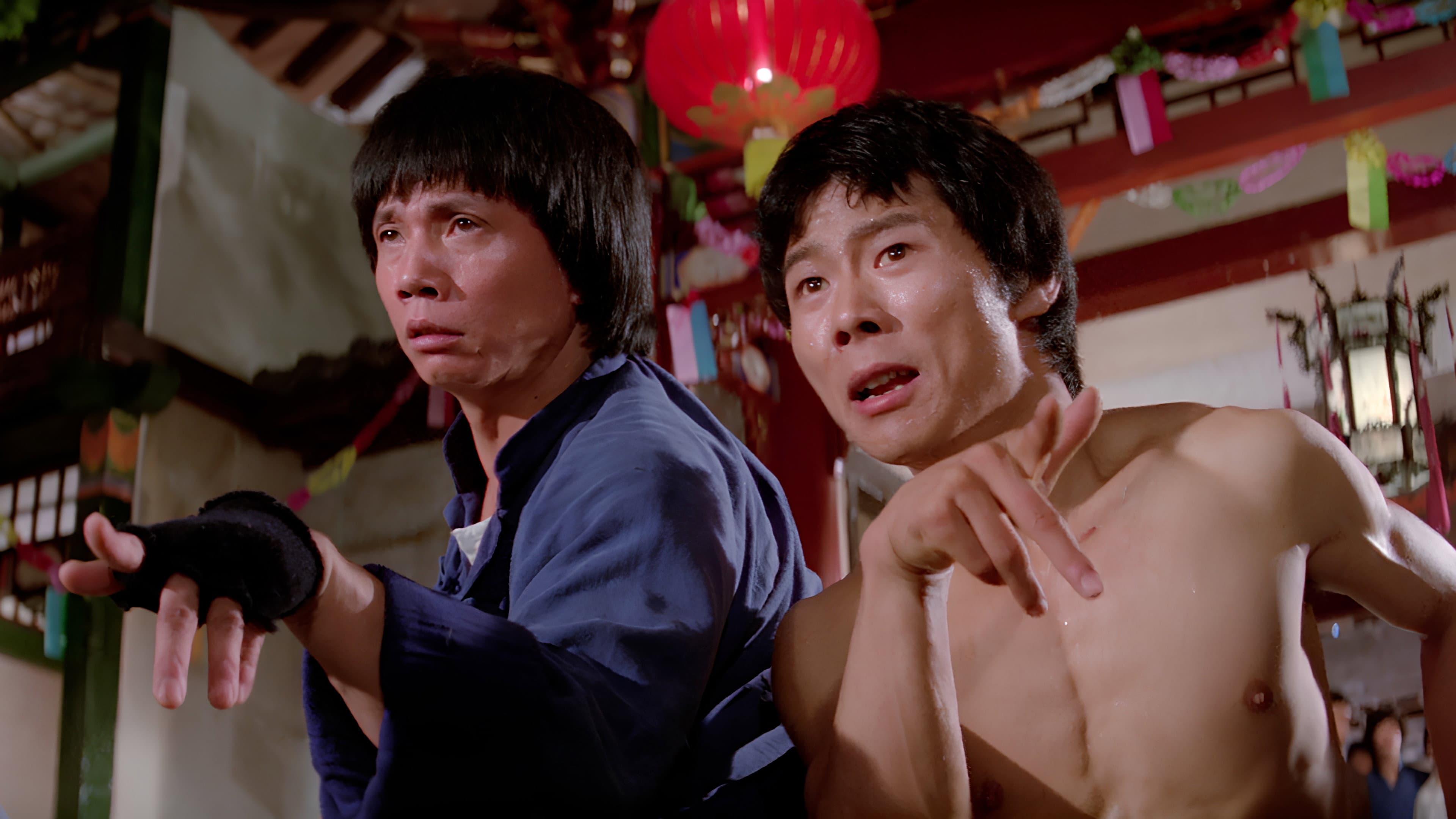 Mad Monkey Kung Fu - immagine