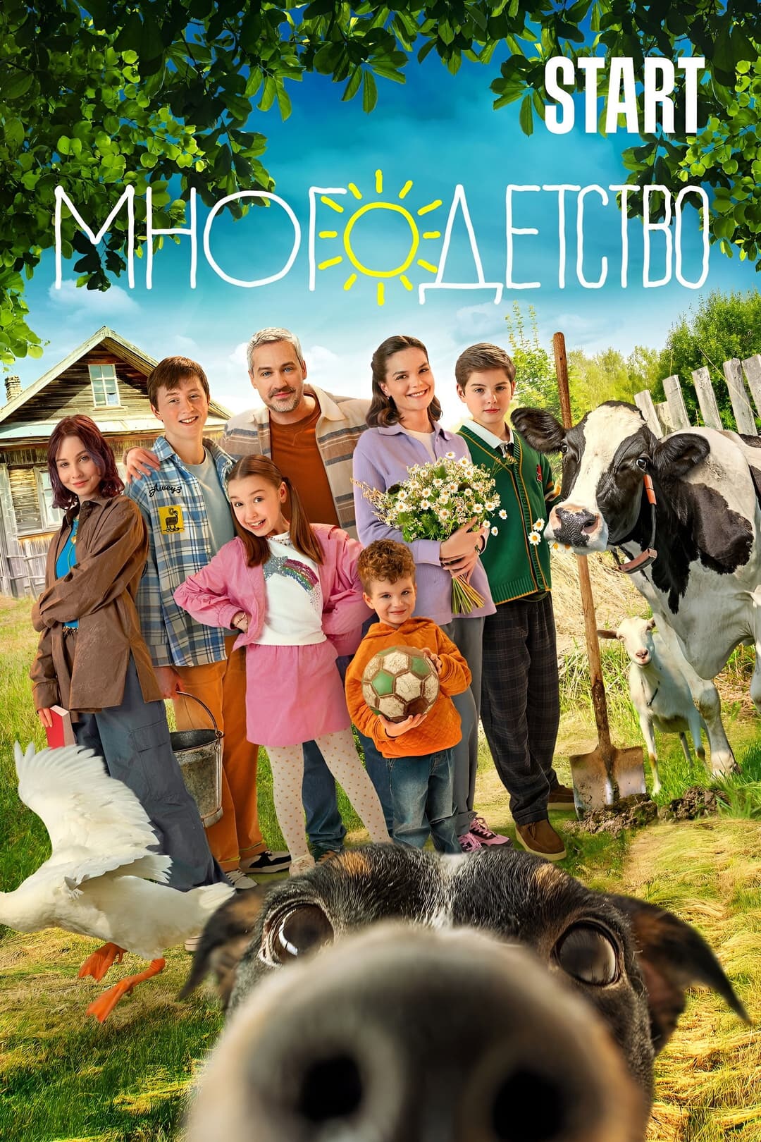 Poster di Многодетство