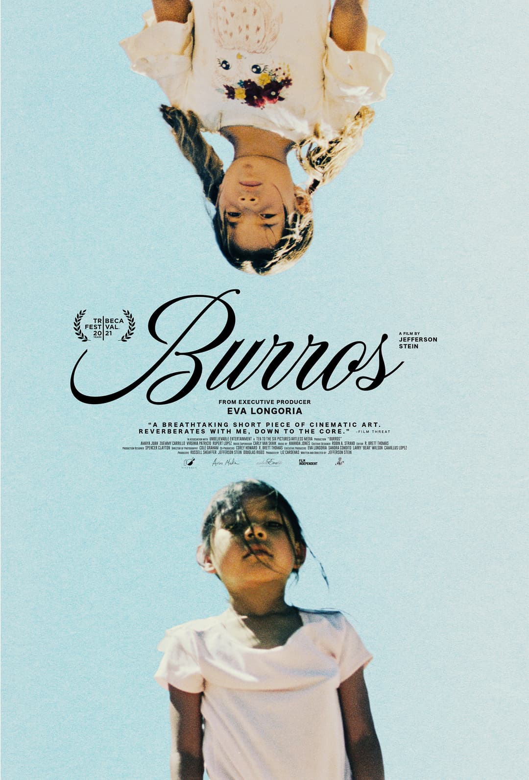 Poster di Burros