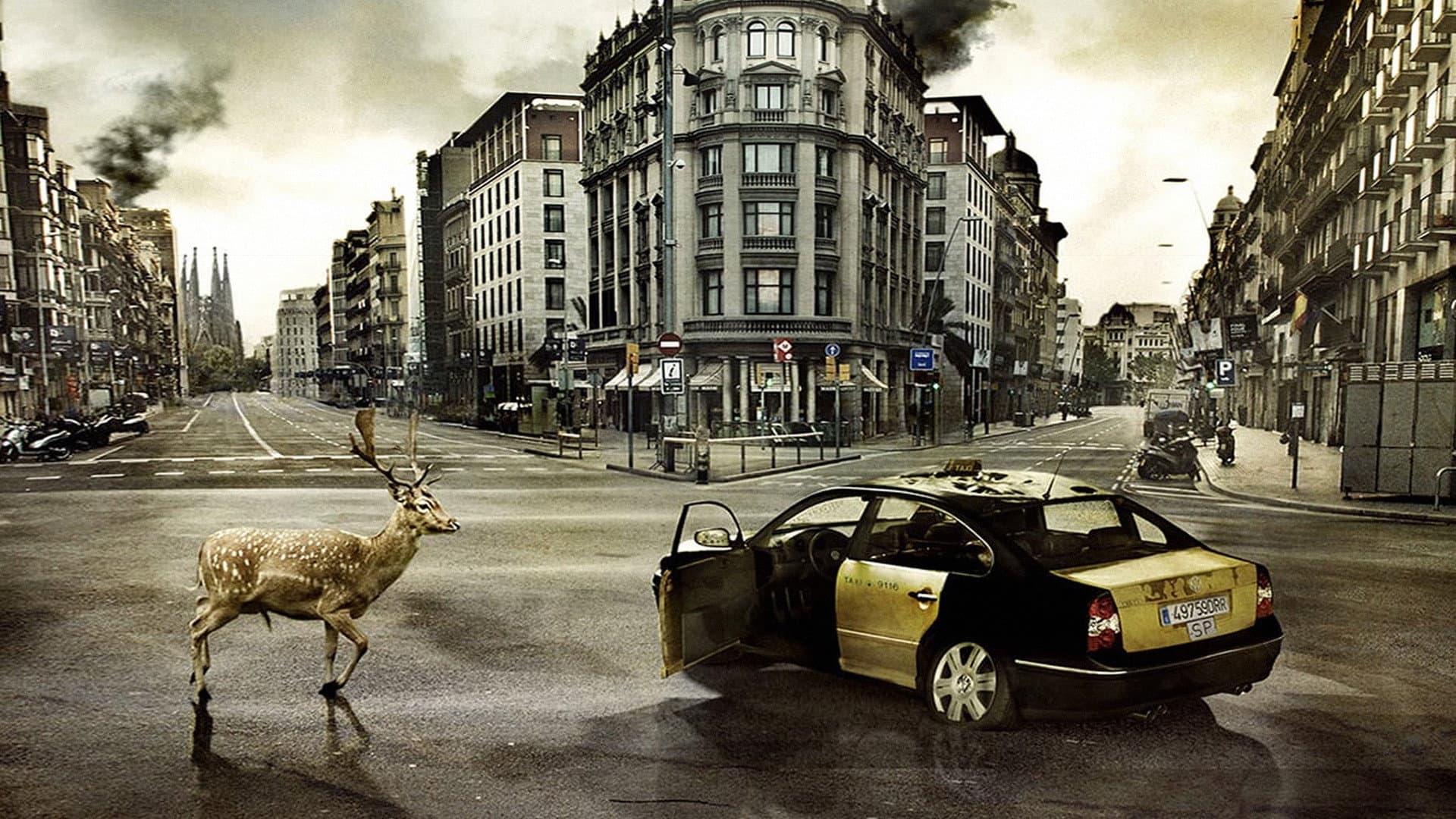The Last Days - immagine