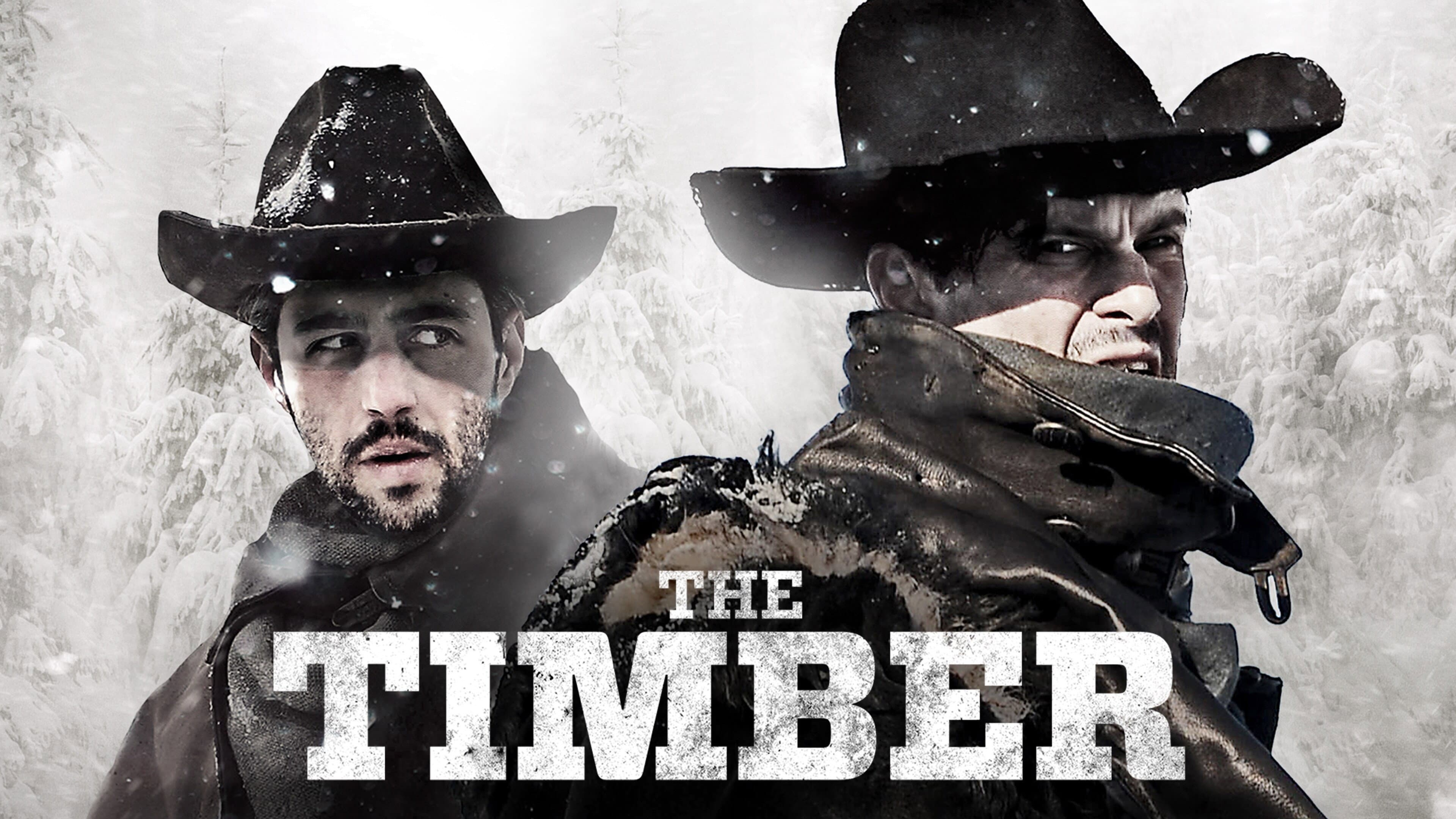 The Timber - immagine