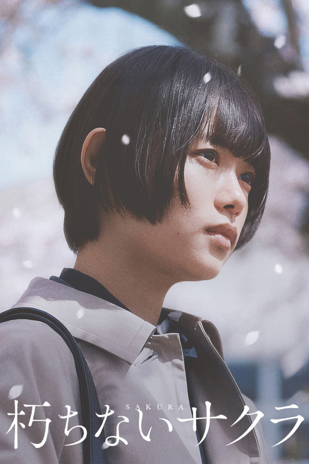 Poster di 朽ちないサクラ