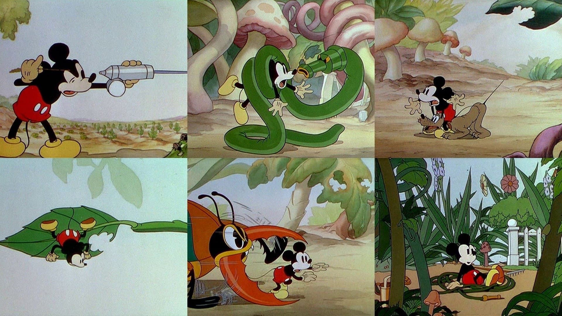 Topolino giardiniere - immagine