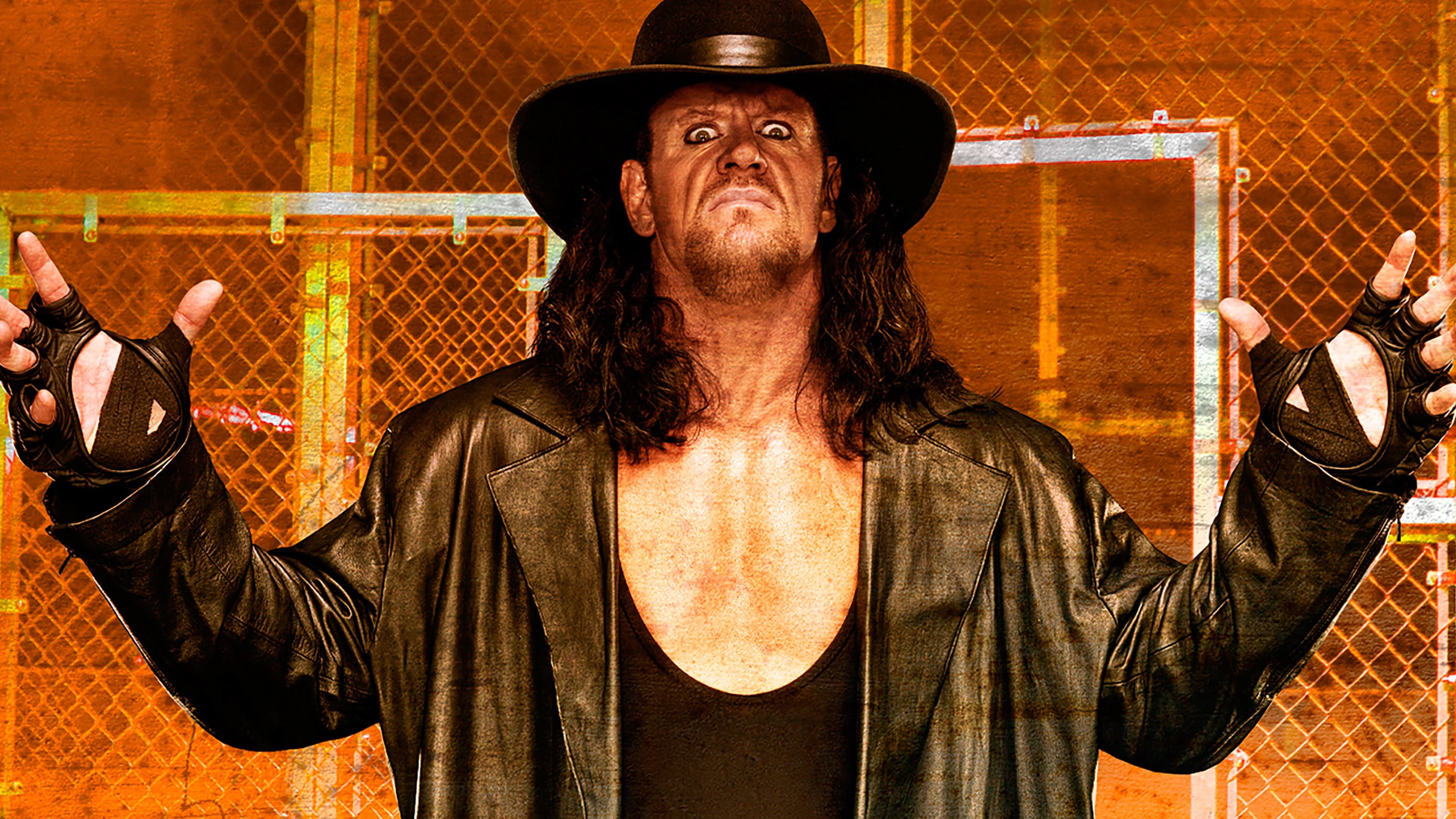 WWE Hell in a Cell 2009 - immagine
