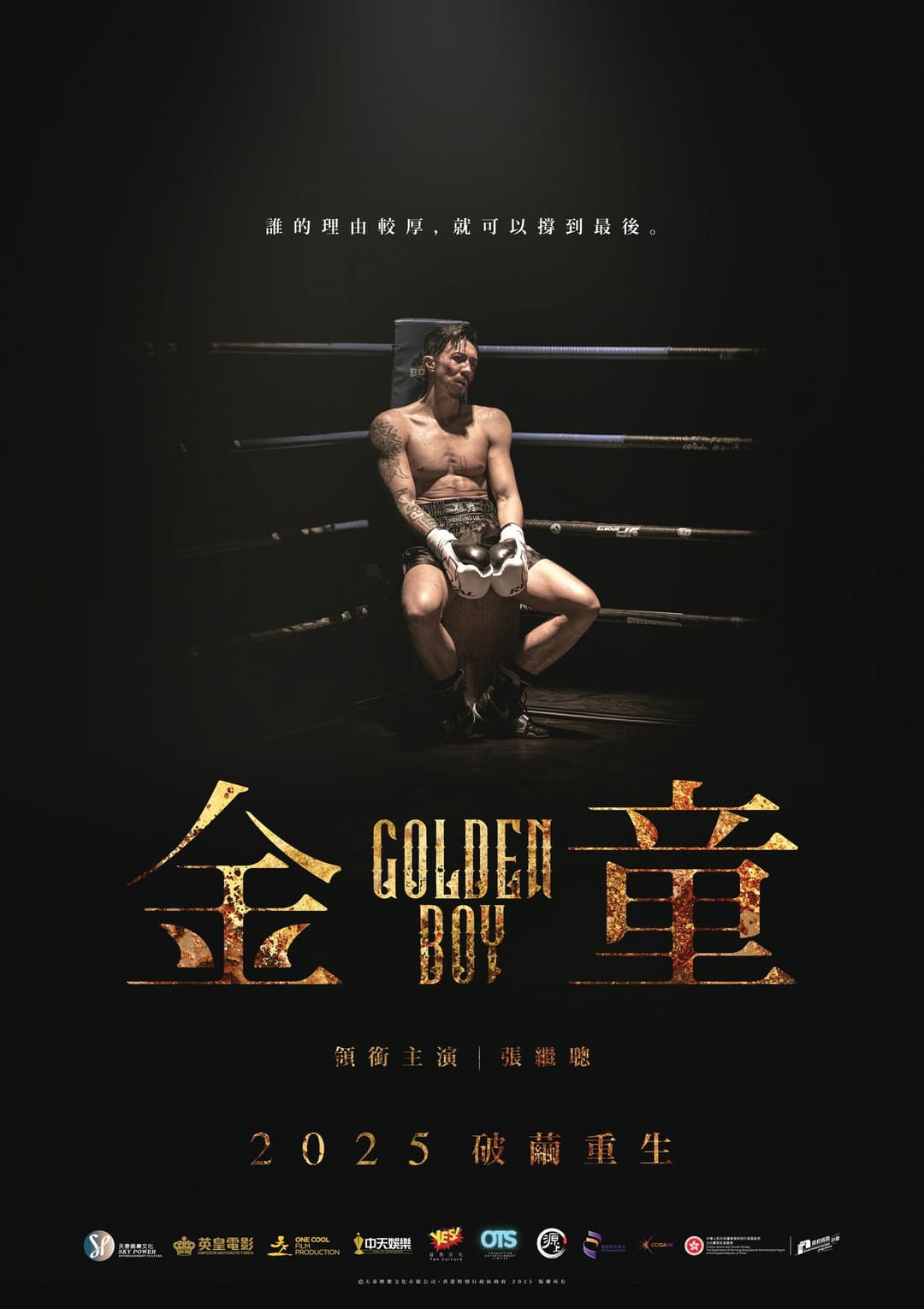 Poster di 金童