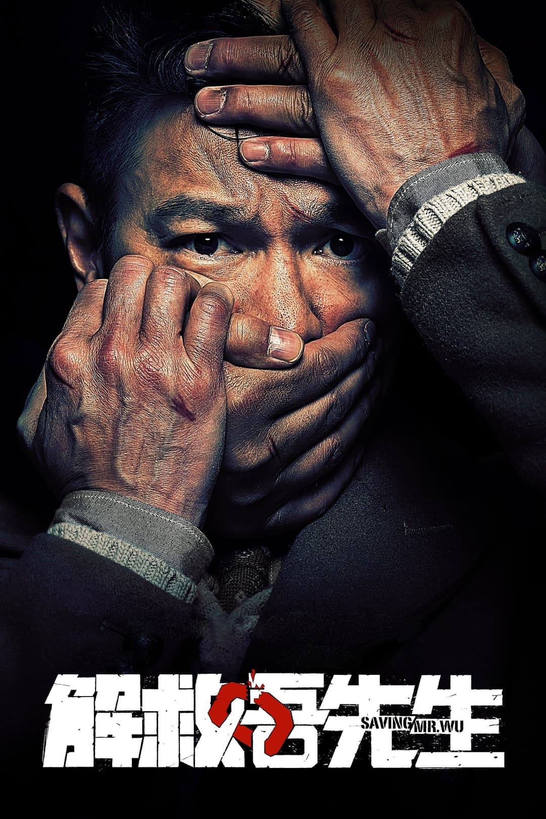 Poster di Saving Mr. Wu