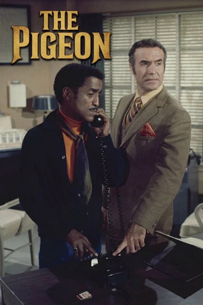Poster di The Pigeon