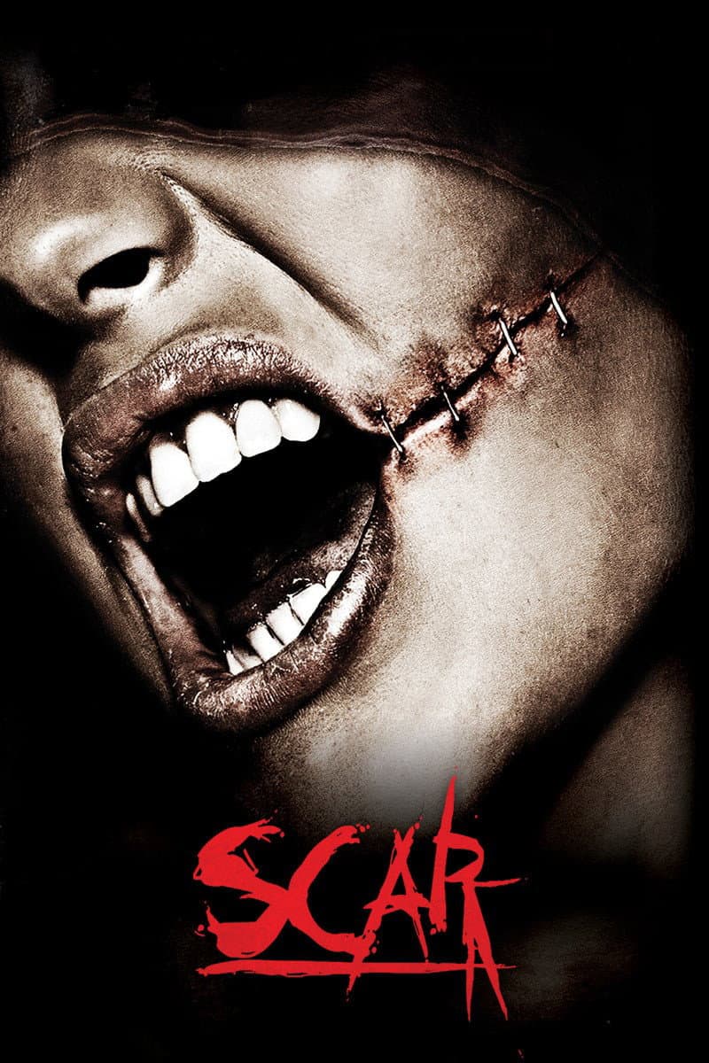 Poster di Scar