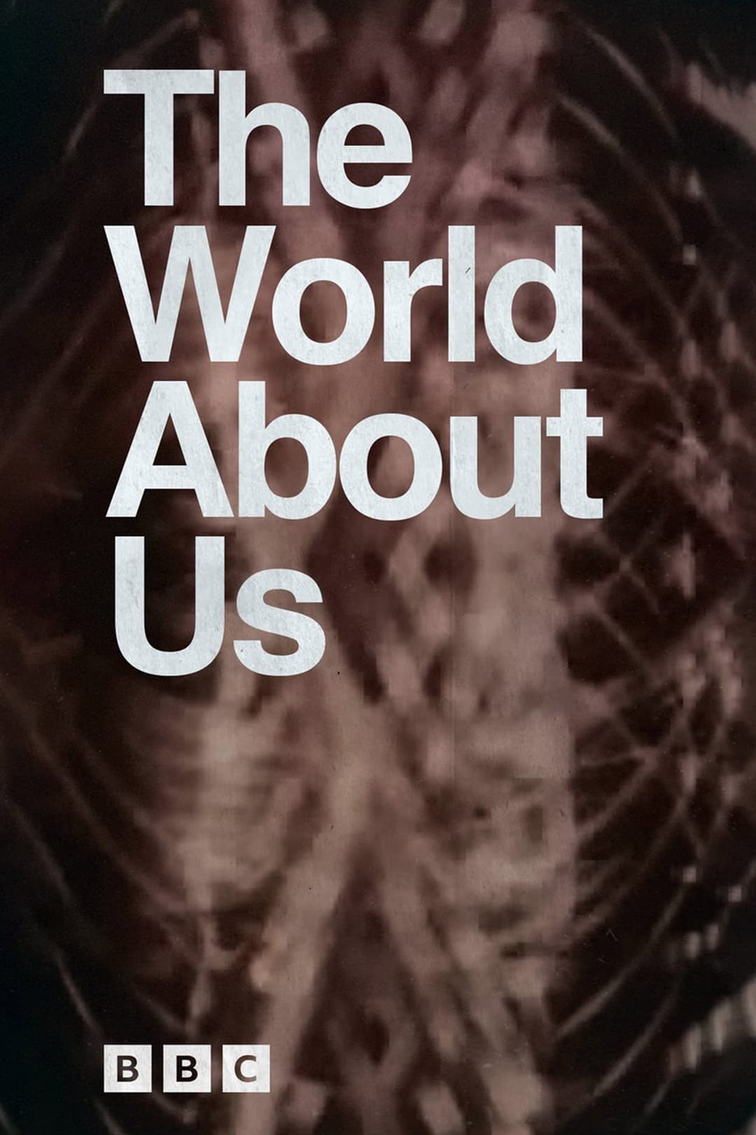 Poster di The World About Us