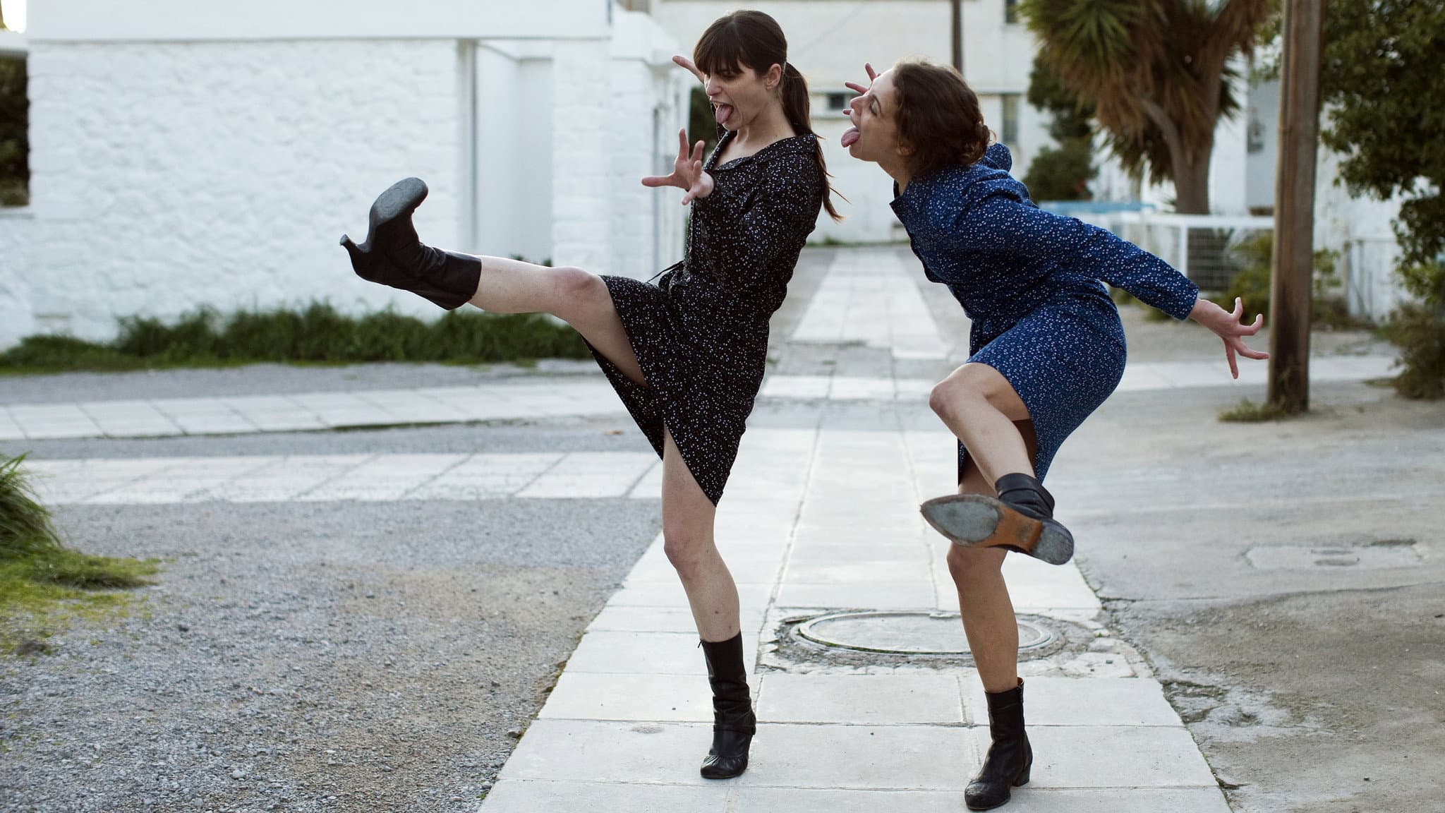 Attenberg - immagine