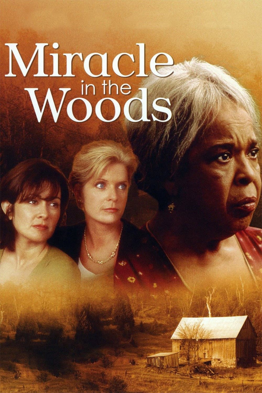 Poster di Miracle in the Woods
