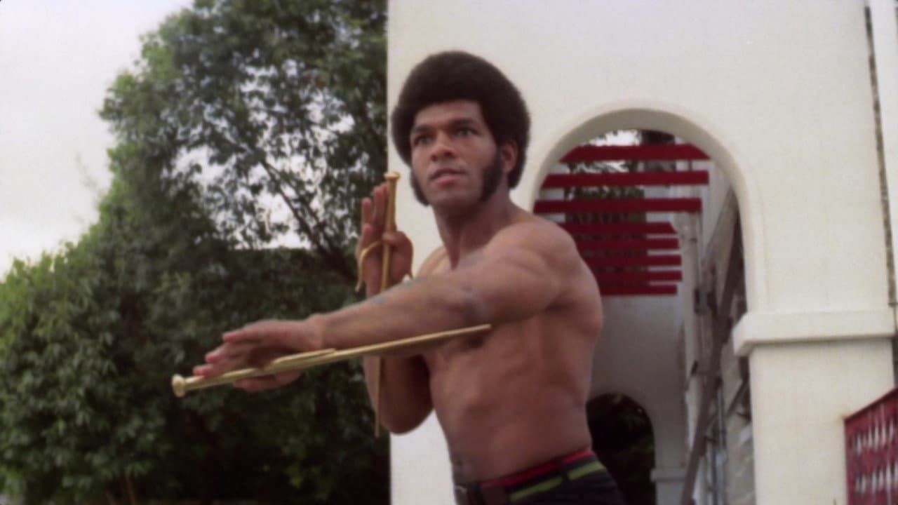Bruce Lee: la vendetta del drago nero - immagine