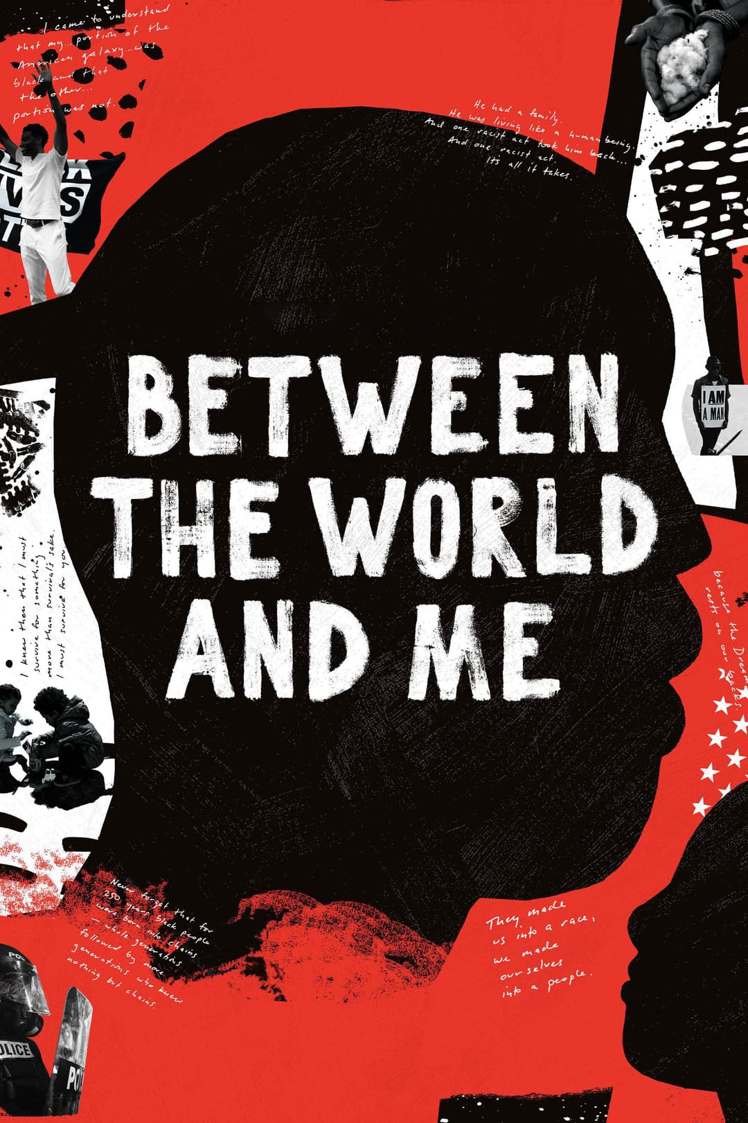 Poster di Between the World and Me