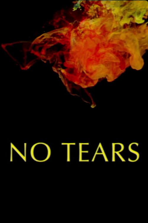 Poster di No Tears