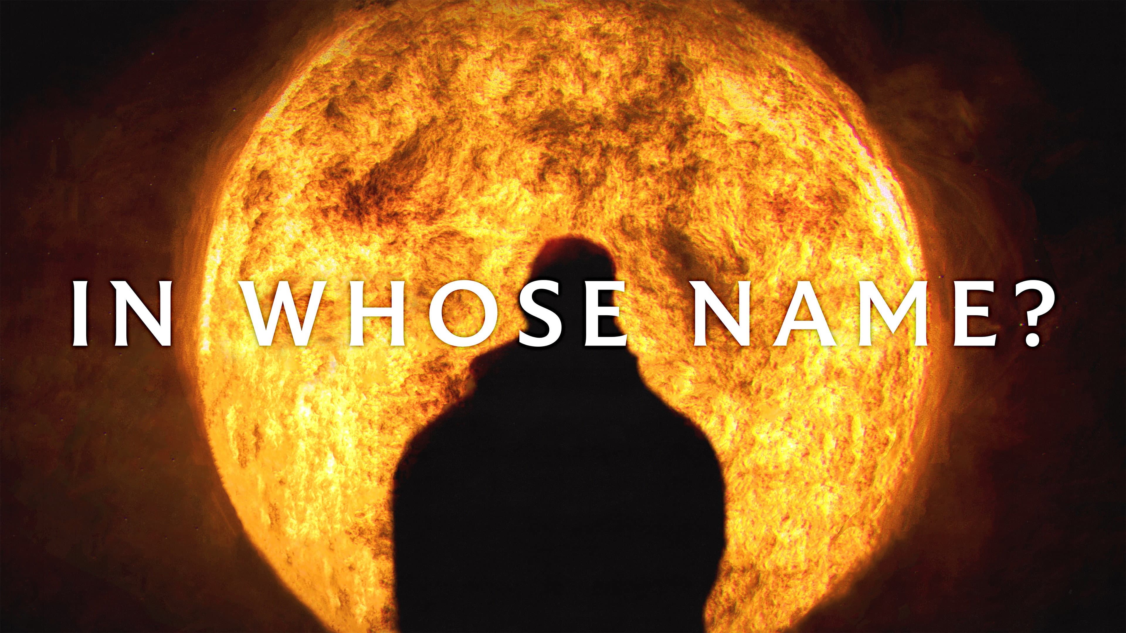 In Whose Name? - immagine