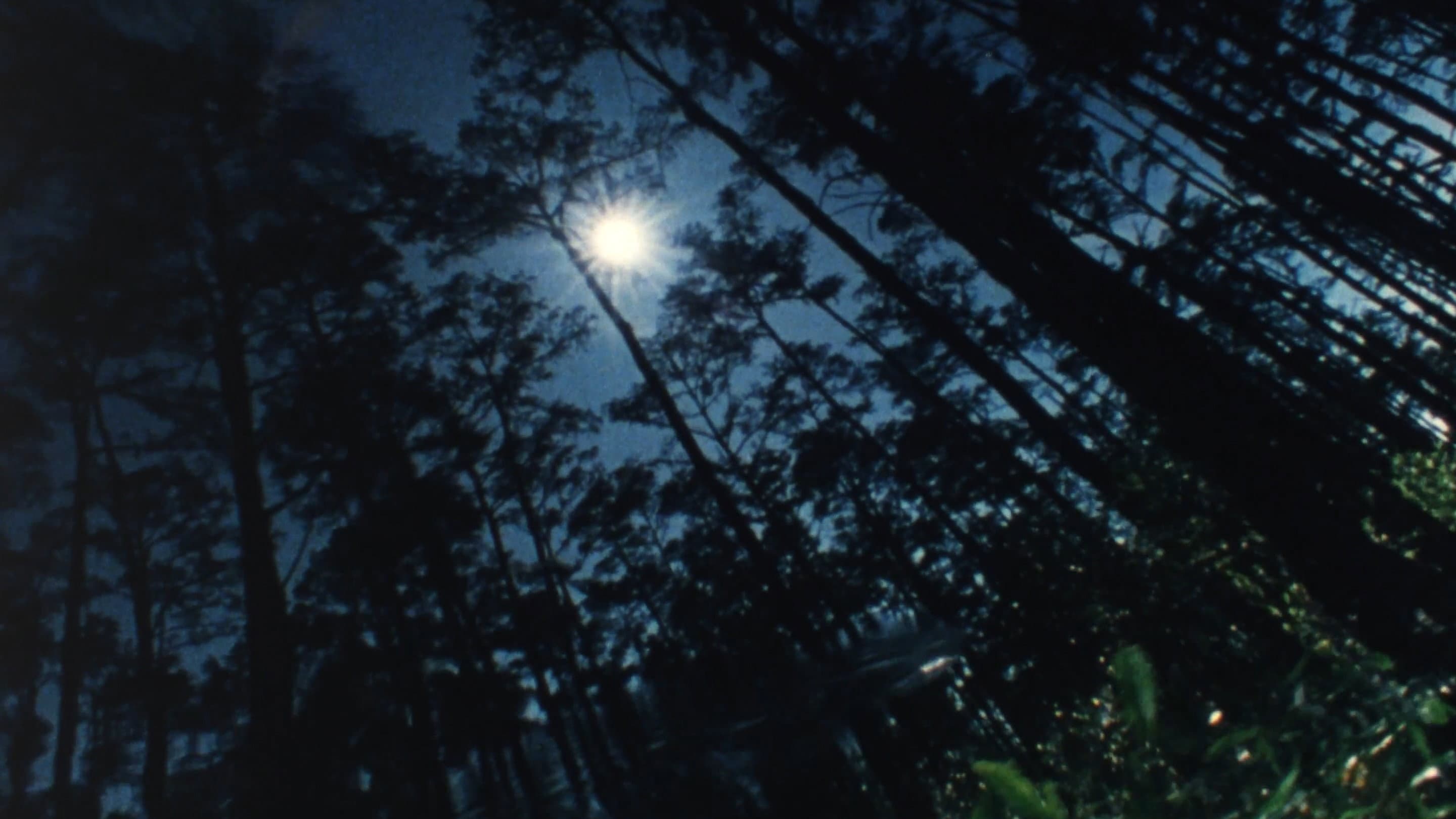 Wilderness: A Country in the Mind - immagine