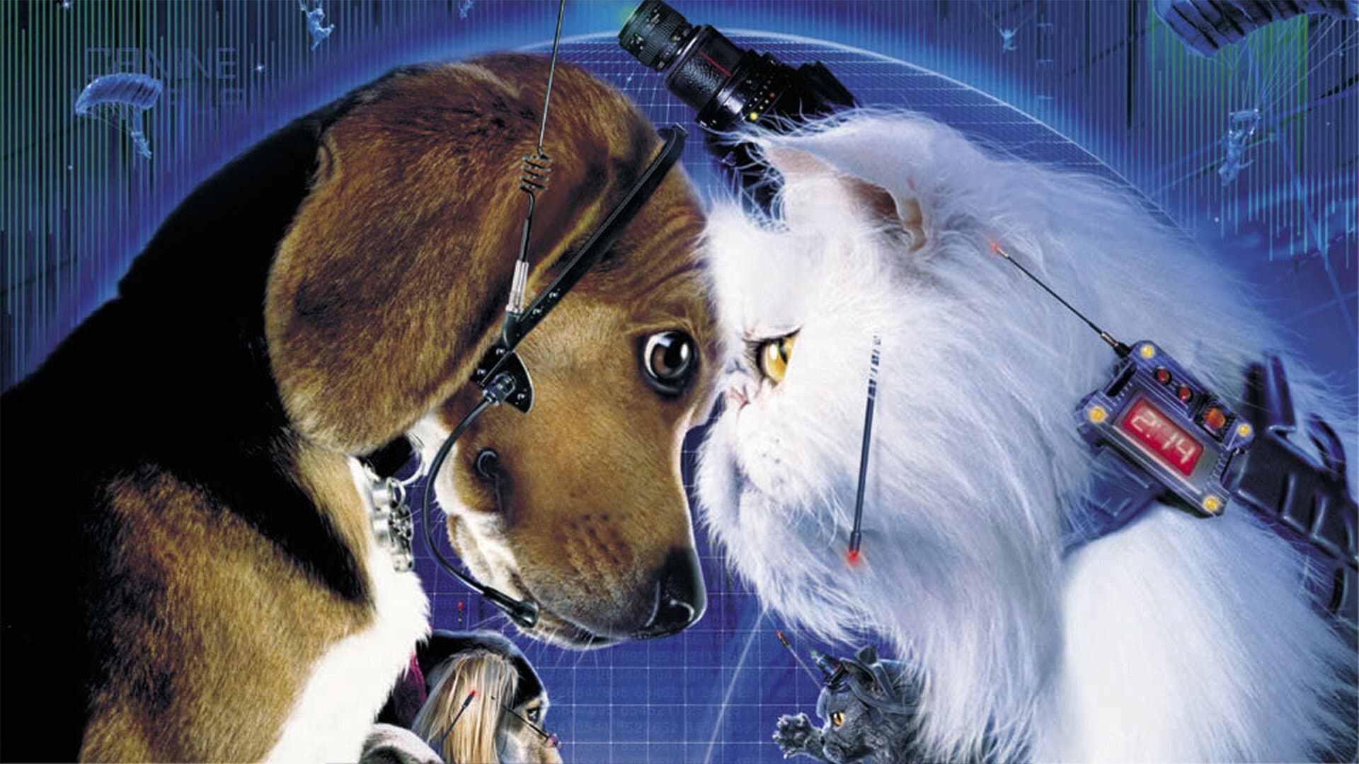 Come cani e gatti - immagine