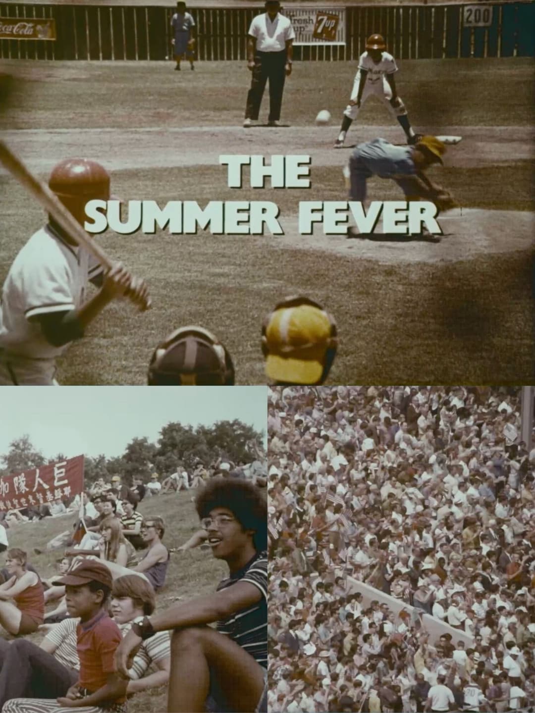 Poster di The Summer Fever
