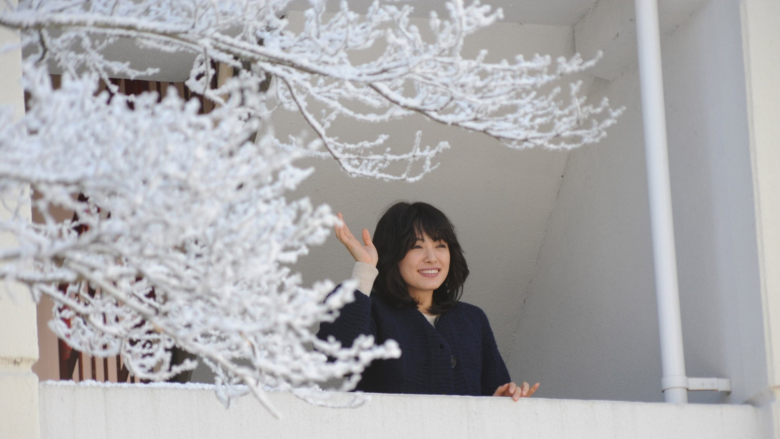 FLOWERS フラワーズ - immagine