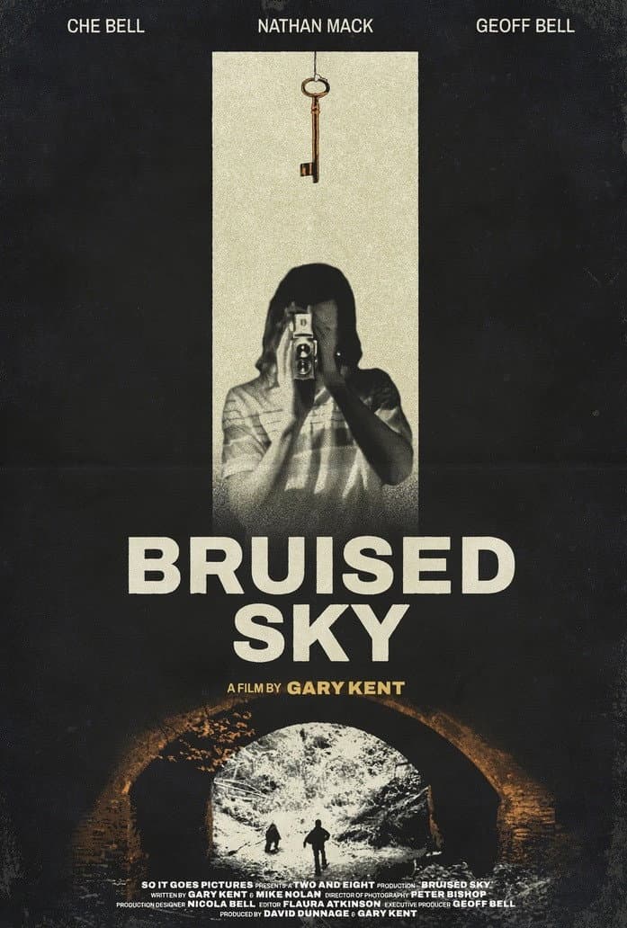 Poster di Bruised Sky