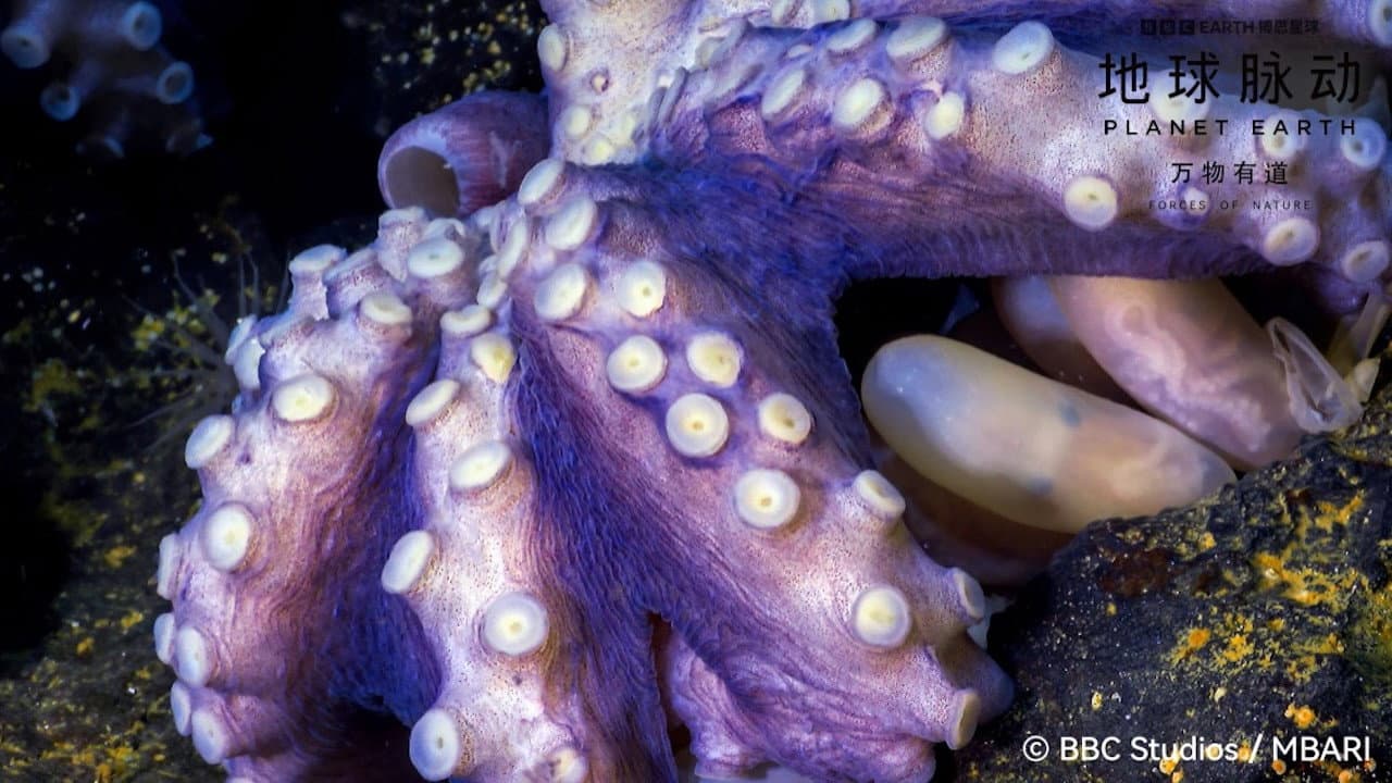 Planet Earth: Forces of Nature - immagine
