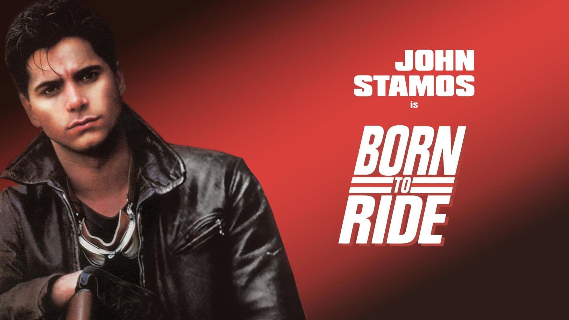 Born to Ride - immagine
