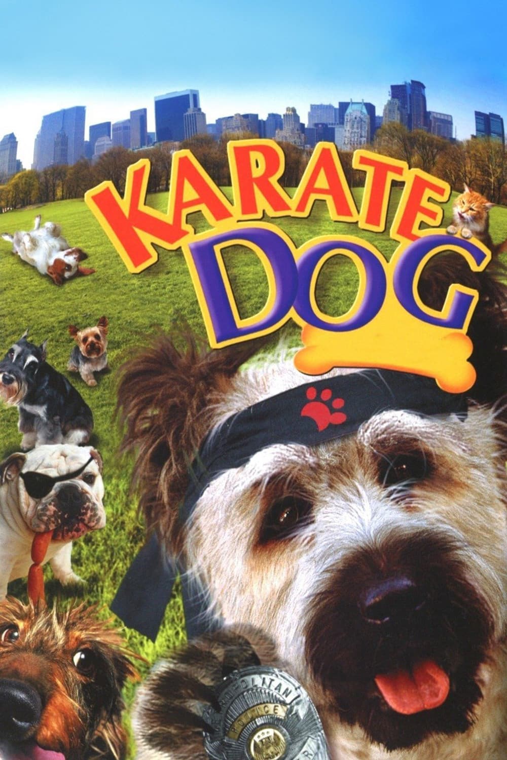 Poster di The Karate Dog