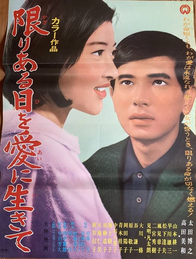 Poster di 限りある日を愛に生きて