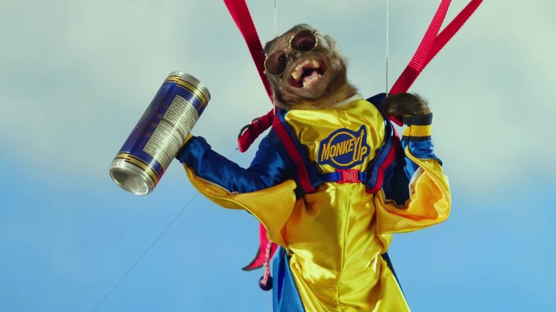 Monkey Up - immagine