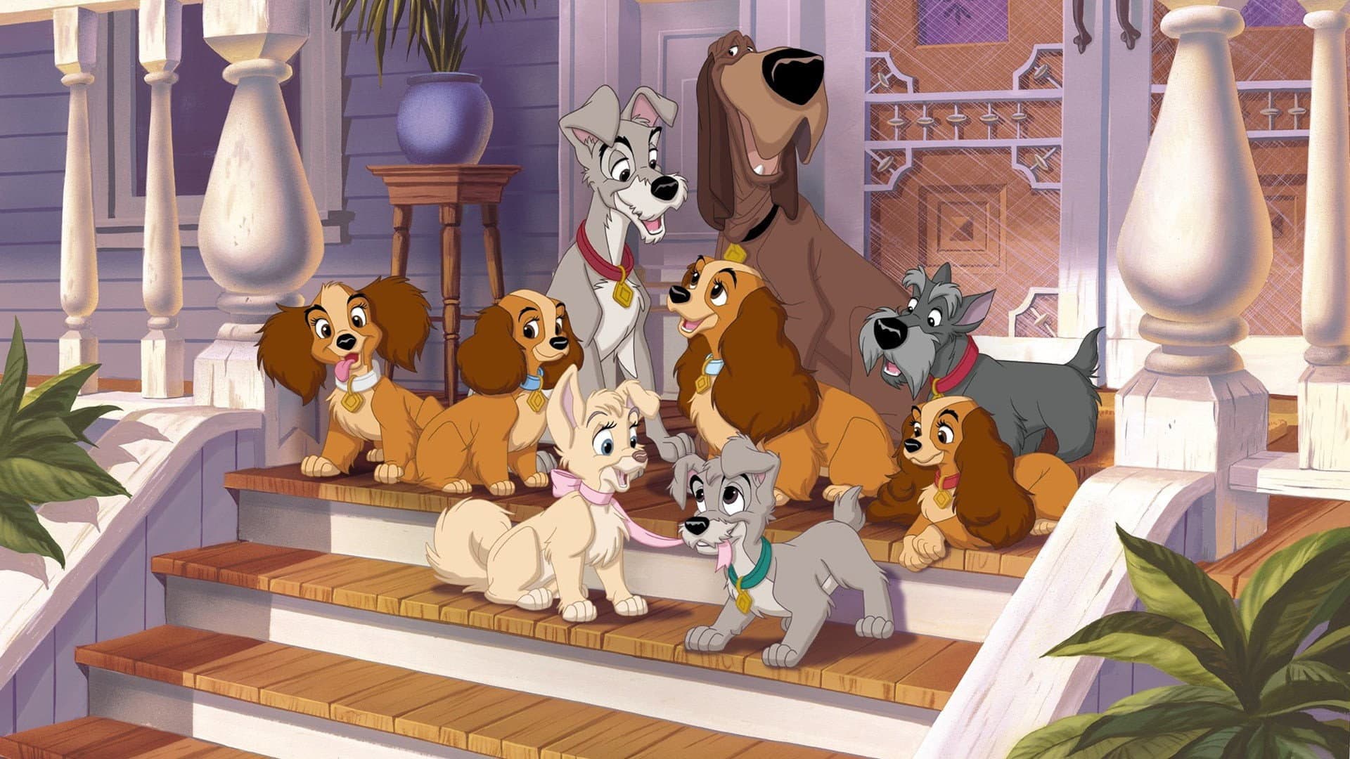 Lilli e il vagabondo 2 - Il cucciolo ribelle - immagine