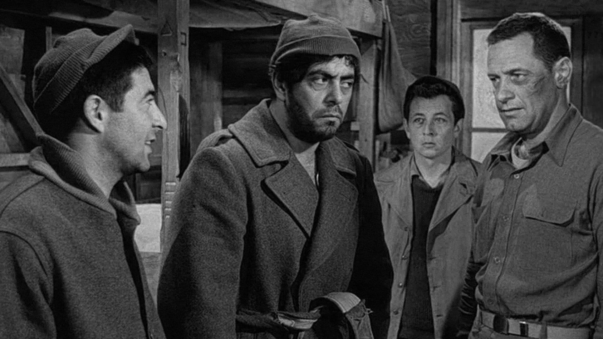 Stalag 17 - immagine
