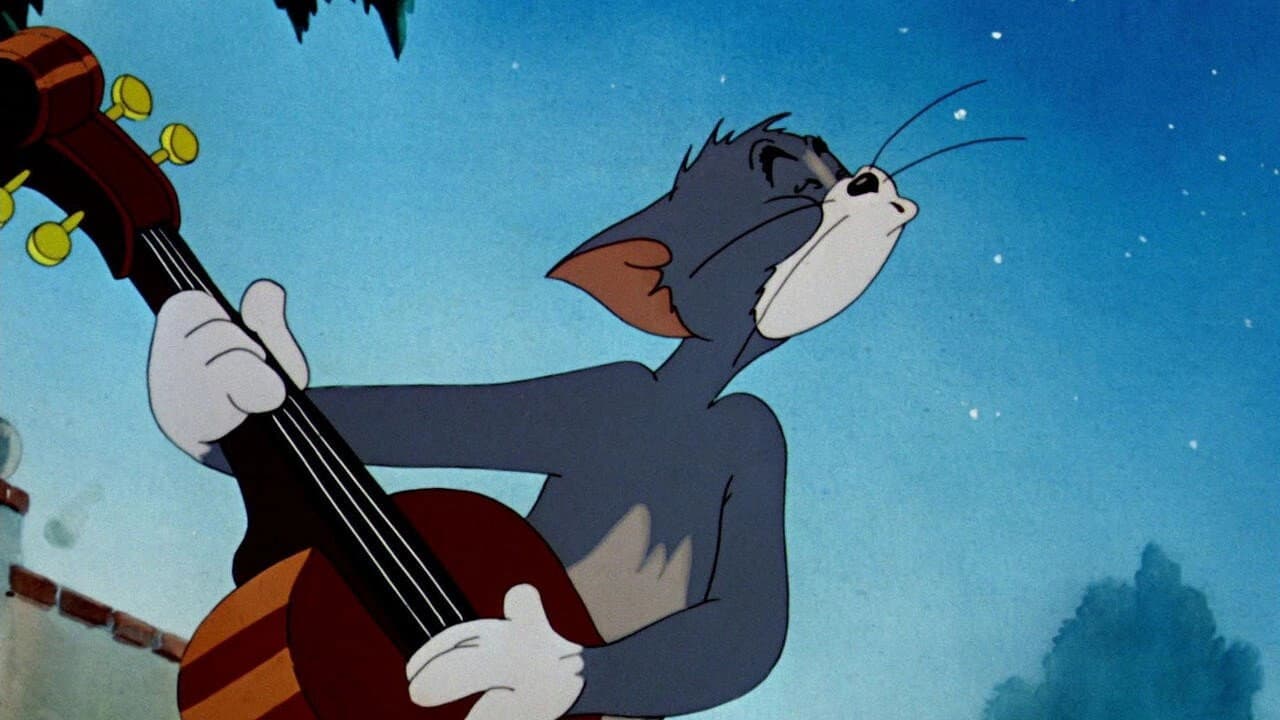 Solid Serenade - immagine