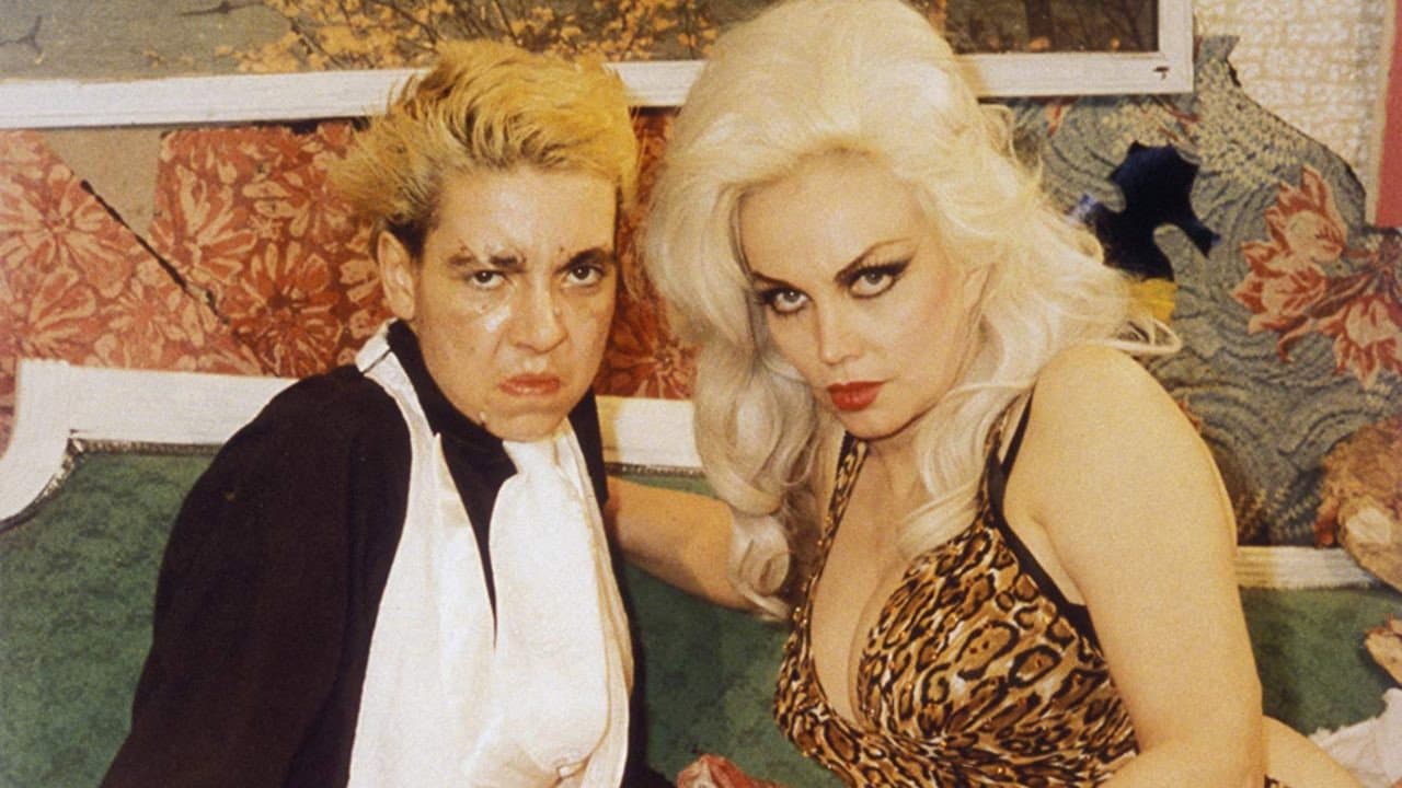 Nuovo punk story - immagine