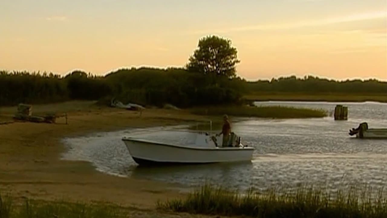 The Hamptons - immagine