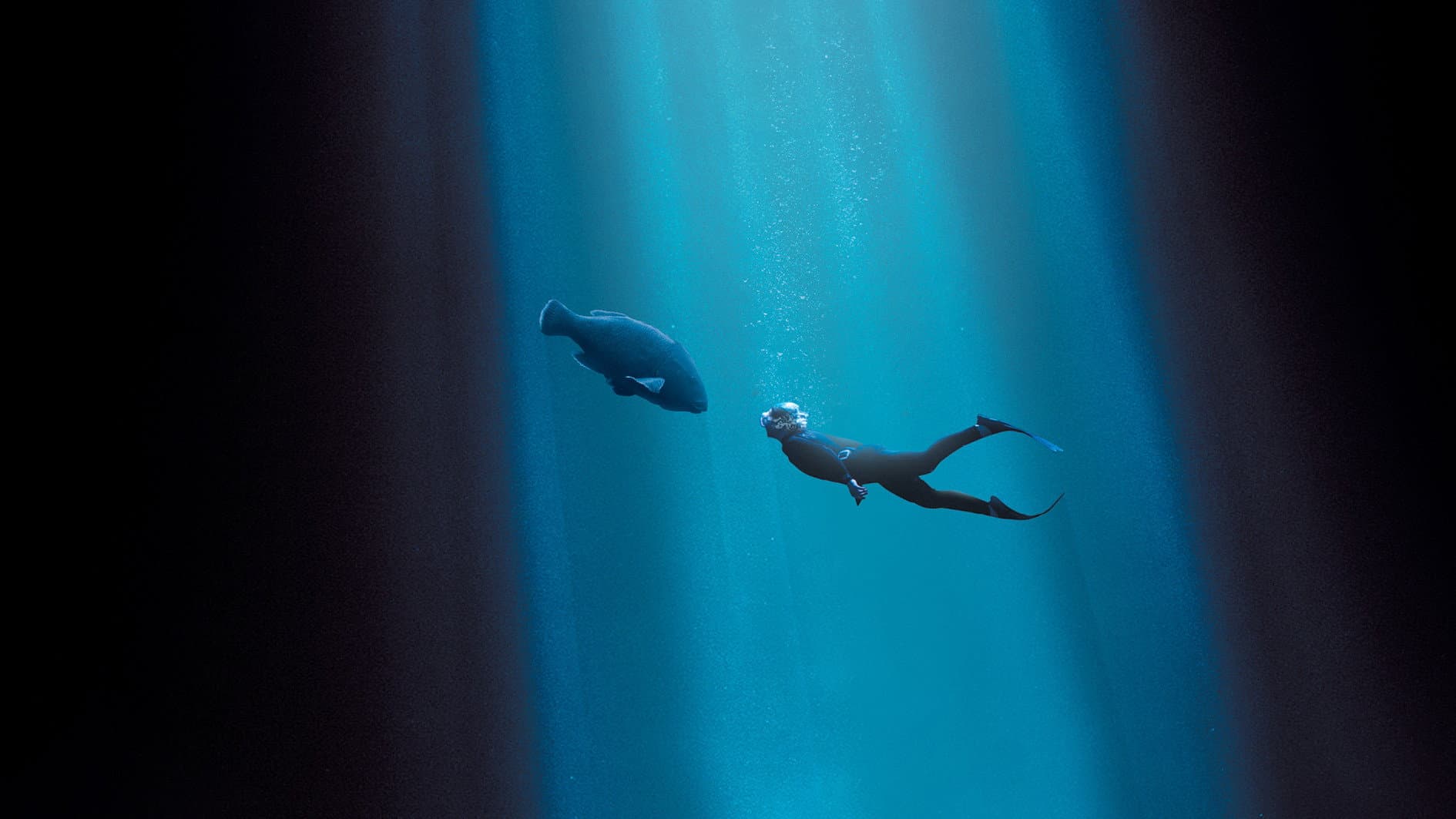 Blueback - immagine